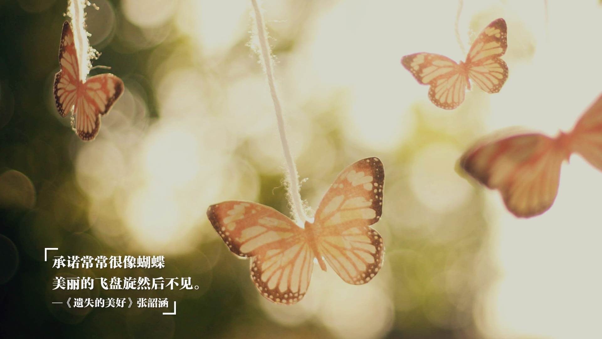 九游官网入口活动-中国射击队老将复出再战奥运积分，中国射击队获得多少奥运金牌