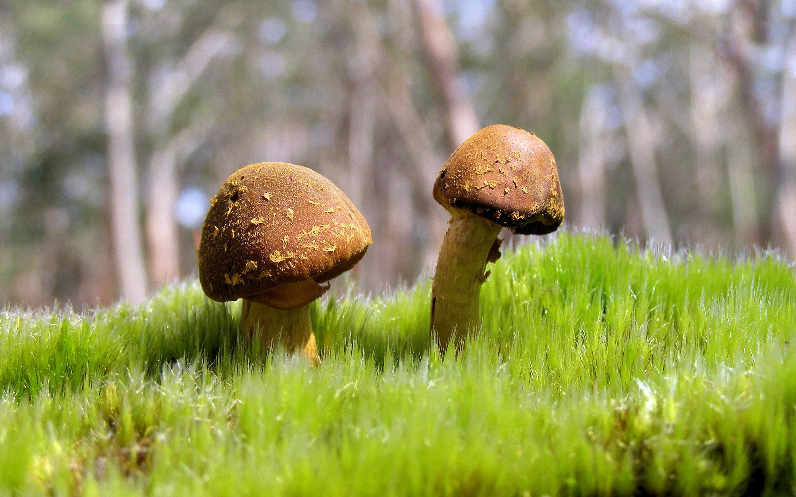 中国女篮积极总结比赛经验,中国女篮分析