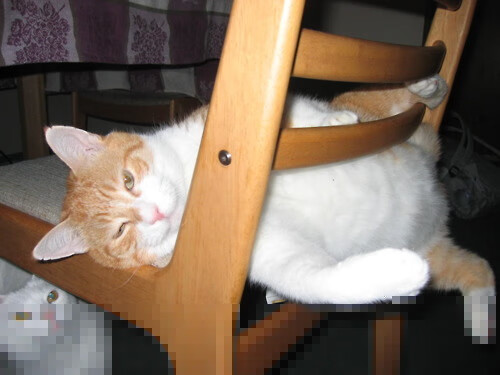 罗马尼亚队赛制策略：如何在团体赛事中充分发挥每位球员的优势