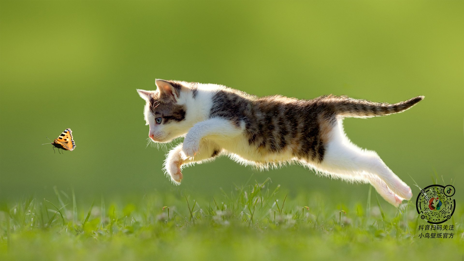 自由式滑雪项目被纳入冬季学校课程，自由式滑雪被列入比赛项目