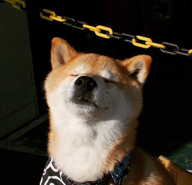 中国足球探索建立校园到职业的完整晋升通道,中国足球积弱多年,校园足球是返璞归真