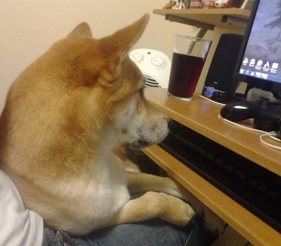 女子赛事观众人数创历史新高，女子团体决赛成绩