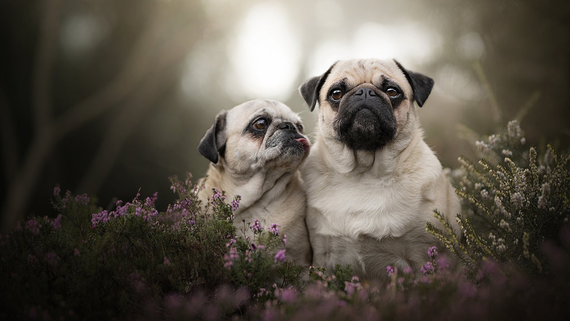 女篮国家队注重技术细节提升执行力，国家女子篮球队队长