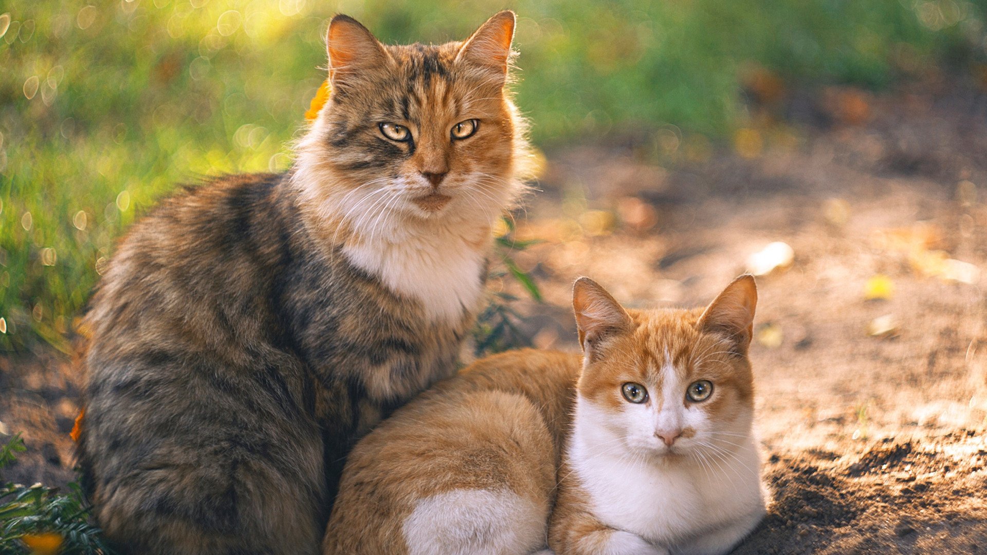 火箭年轻内线表现惊人引赞誉，最年轻的火箭总设计师